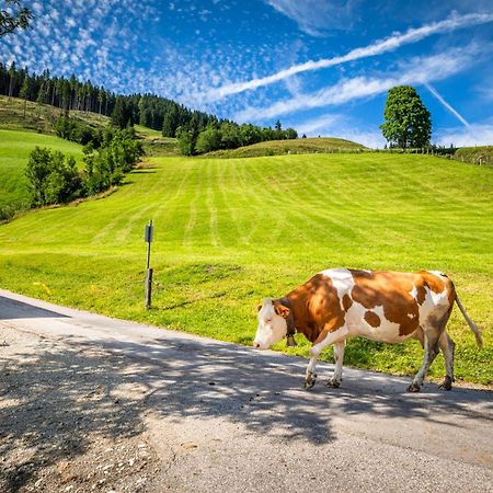 Bauernhaus Bichl Sankt Johann im Pongau Exteriér fotografie